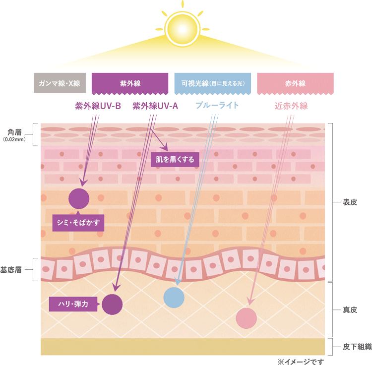 使用